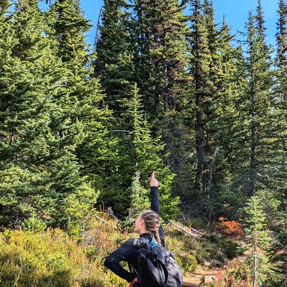 Meet your Posher, Taylor - Picture 5 of 5